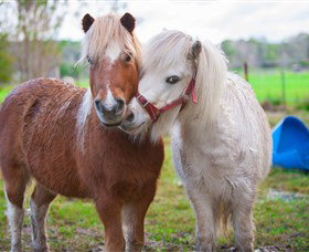 Amazement Farm And Fun Park / Cafe And Farmstay Accommodation - Foster Accommodation 5