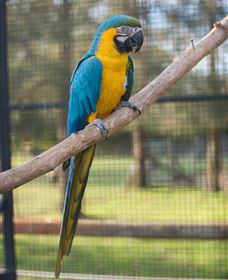 Amazement Farm And Fun Park / Cafe And Farmstay Accommodation - Foster Accommodation 8