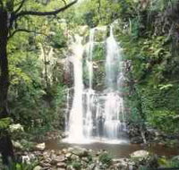 Budderoo National Park - The Falls Walk - Foster Accommodation