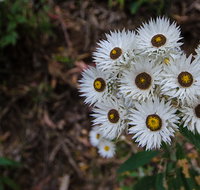 Hastings Forest Way touring route - Foster Accommodation