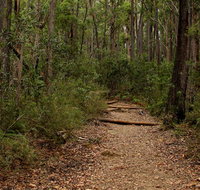 Pigeon House Mountain Didthul walking track - Foster Accommodation