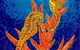 Sea Silks Gallery - thumb 3