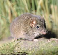 Munmorah State Conservation Area - Foster Accommodation