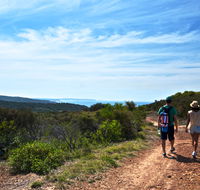 Moonee Beach trail - Foster Accommodation