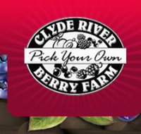 Clyde River Berry Farm - Foster Accommodation