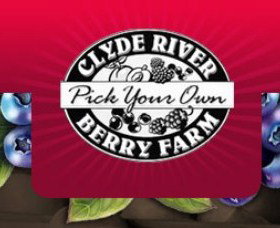 Clyde River Berry Farm - Foster Accommodation 0