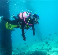 Shellharbour Scuba  Photography Centre - Foster Accommodation