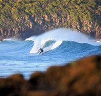 Killalea Beach - Foster Accommodation