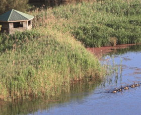 Spring Creek Bird Hide - Foster Accommodation 0