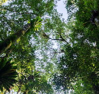 Botanic walk - Foster Accommodation