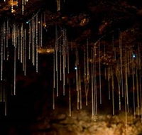 Tamborine Mountain Glow Worm Caves - Foster Accommodation