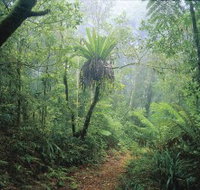 Wagawn - Foster Accommodation