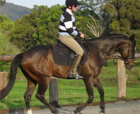 Kings Creek Saddle Club - Foster Accommodation 6