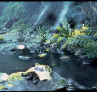 Coomera circuit - Foster Accommodation