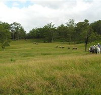 Numinbah Valley Adventure Trails - Foster Accommodation