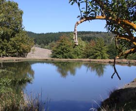 Oak Grove Walk, Balingup - Foster Accommodation 0