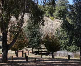 Oak Grove Walk, Balingup - Foster Accommodation 2