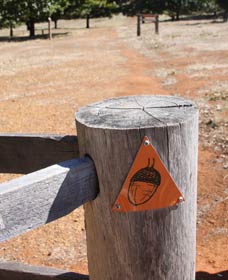 Oak Grove Walk, Balingup - Foster Accommodation 3