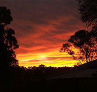 Tinonee Museum - Foster Accommodation