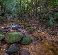 Starrs Creek picnic area - Foster Accommodation