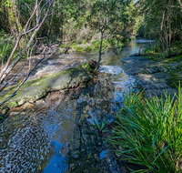 Dawson River walking track - Foster Accommodation