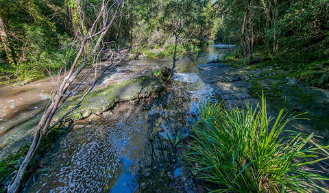 Dawson River Walking Track - Foster Accommodation 0