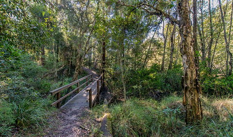 Dawson River Walking Track - Foster Accommodation 1