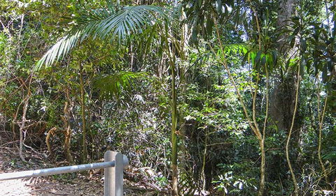 Goorgana Walking Track - Foster Accommodation 0