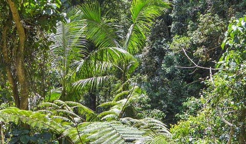Goorgana Walking Track - Foster Accommodation 1