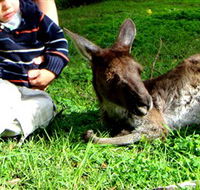 Bunbury Wildlife Park - Foster Accommodation