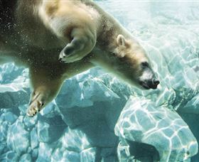 Australia's Sea World - Foster Accommodation 0