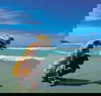 Diamond Beach - Foster Accommodation