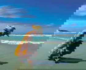 Diamond Beach - Foster Accommodation 0