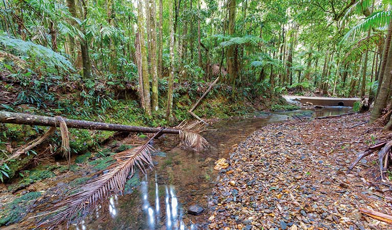 Karangi NSW Foster Accommodation