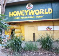 Superbee Honeyworld Gold Coast - Foster Accommodation