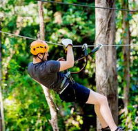 TreeTop Challenge Currumbin - Foster Accommodation