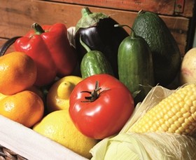 Summerland House Farm - House With No Steps - Foster Accommodation 1