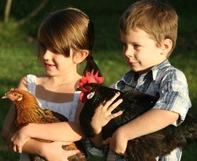 Summerland House Farm - House With No Steps - Foster Accommodation 2