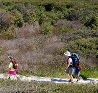 Yuraygir coastal walk - Foster Accommodation