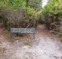 Angophora grove walking track - Foster Accommodation