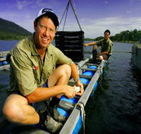 Armstrong Oysters - Foster Accommodation