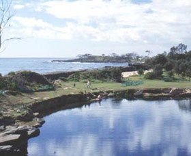 Angourie Blue Pool - Foster Accommodation 1
