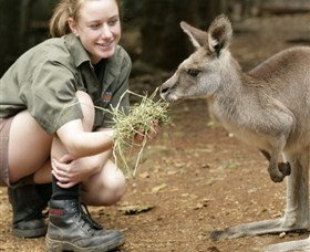Macadamia Castle - Foster Accommodation 2