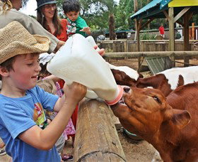 Macadamia Castle - Foster Accommodation 5