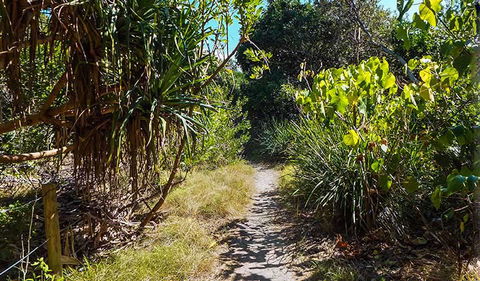 North Head Walking Track - Foster Accommodation 0