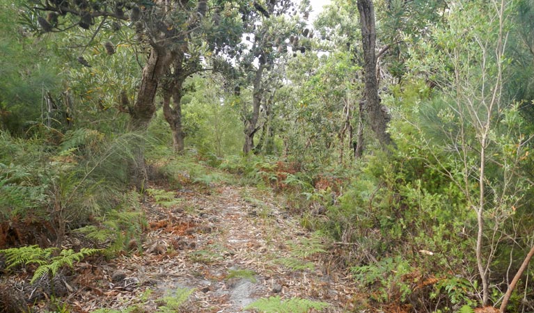 Hat Head NSW Foster Accommodation