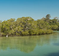 Tyagarah Nature Reserve - Foster Accommodation