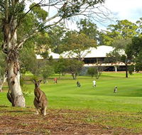 Pambula Merimbula Golf Club - Foster Accommodation