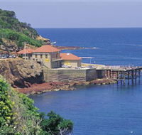 Merimbula Aquarium - Foster Accommodation