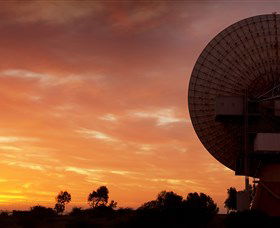 OTC Dish - Foster Accommodation 1